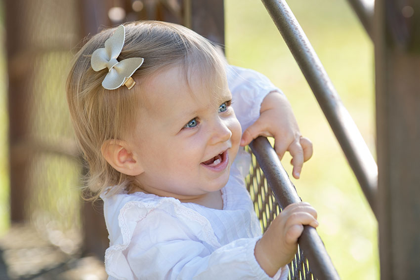 Barrettes papillons