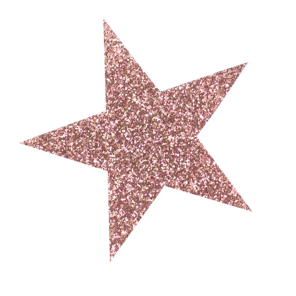 Broches paillettes
