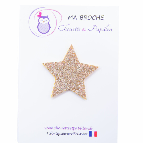 brooch star gold