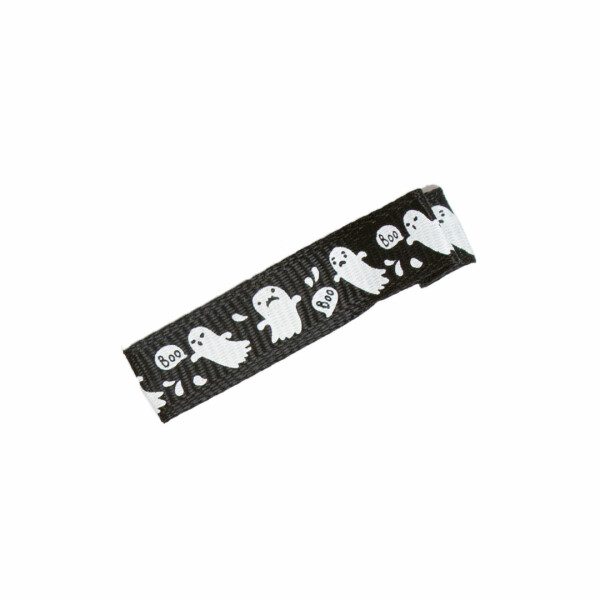 barrette pince fantomes